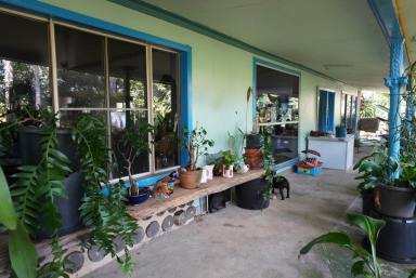 Lifestyle For Sale - NSW - Bulldog - 2469 - HIDDEN TREASURE  (Image 2)