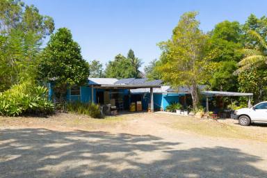 Lifestyle For Sale - NSW - Bulldog - 2469 - Light-Filled Living Meets Vibrant Gardens Paradise  (Image 2)
