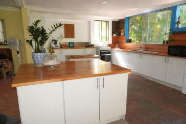 Lifestyle For Sale - NSW - Bulldog - 2469 - HIDDEN TREASURE  (Image 2)