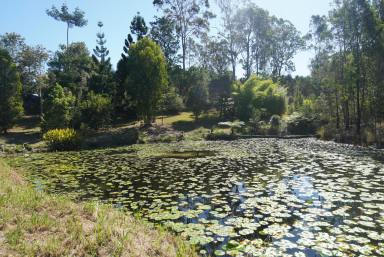 Lifestyle For Sale - NSW - Bulldog - 2469 - Light-Filled Living Meets Vibrant Gardens Paradise  (Image 2)