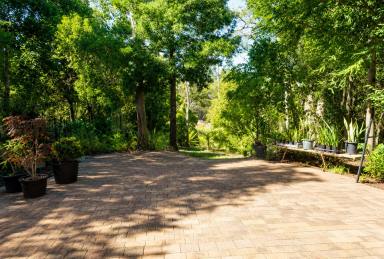 Lifestyle For Sale - NSW - Bulldog - 2469 - HIDDEN TREASURE  (Image 2)