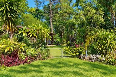 Lifestyle For Sale - NSW - Bulldog - 2469 - Resort-Style Living - MOTIVATED VENDOR  (Image 2)