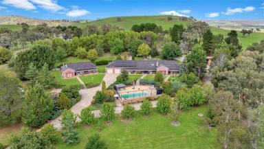 House Auction - NSW - Bathurst - 2795 - Windemere - A magnificent and private family property  (Image 2)