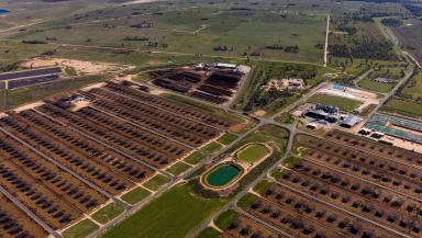Livestock For Sale - QLD - Grassdale - 4405 - Mort & Co - One of Australia’s Largest Privately Owned Lot-Feeding Specialists  (Image 2)