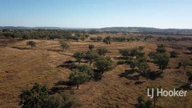 Mixed Farming For Sale - NSW - Inverell - 2360 - 'Bendage Farm' Gwydir Highway, Rob Roy NSW 2360  (Image 2)