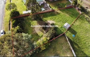 Residential Block For Sale - TAS - Zeehan - 7469 - Flat 990 m² Build‑Ready Block in Zeehan  (Image 2)