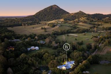 House For Sale - QLD - Eumundi - 4562 - A Bespoke Landmark Hinterland Estate of Sophistication and Charm  (Image 2)
