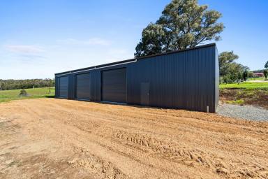 Acreage/Semi-rural For Sale - VIC - Seaton - 3858 - Why Build... Just Move In  (Image 2)