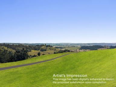 Residential Block For Sale - NSW - Goonellabah - 2480 - Large Block with a View  (Image 2)