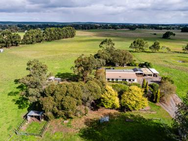 House For Sale - SA - Glencoe - 5291 - The Ultimate Hobby Farm Lifestyle  (Image 2)