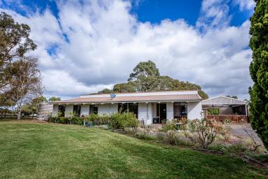 House For Sale - SA - Glencoe - 5291 - The Ultimate Hobby Farm Lifestyle  (Image 2)