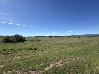 House For Lease - NSW - Dry Plain - 2630 - 3465 Snowy Mountains Highway, Dry Plain  (Image 2)