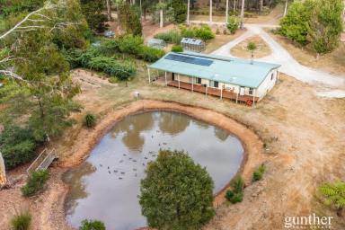 House For Sale - VIC - Narbethong - 3778 - Private Lifestyle Sanctuary on Just Over 2 Glorious Acres  (Image 2)