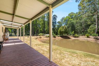 House For Sale - VIC - Narbethong - 3778 - Private Lifestyle Sanctuary on Just Over 2 Glorious Acres  (Image 2)