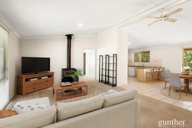 House For Sale - VIC - Narbethong - 3778 - Private Lifestyle Sanctuary on Just Over 2 Glorious Acres  (Image 2)