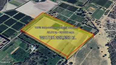 Residential Block For Sale - WA - Neergabby - 6503 - Turnkey Horticultural Powerhouse | 20Ha Fully Reticulated with 220,650kL Water License  (Image 2)
