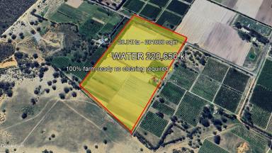 Residential Block For Sale - WA - Neergabby - 6503 - Turnkey Horticultural Powerhouse | 20Ha Fully Reticulated with 220,650kL Water License  (Image 2)