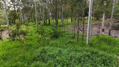 Residential Block For Sale - QLD - Tolga - 4882 - Bushland 1 acre / 4,000m² Ready to Build  (Image 2)