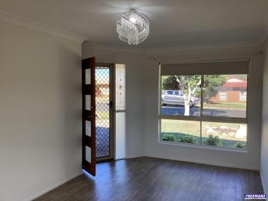 House For Lease - QLD - Kingaroy - 4610 - Space, Style & Solar - The Complete Package  (Image 2)