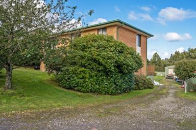 House For Sale - TAS - Strahan - 7468 - Brick Two-Storey Family Home with Space, Privacy & Flexibility  (Image 2)