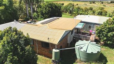House For Sale - QLD - South Isis - 4660 - 10.5ac 4 BED 2 BATH HOUSE WATER ALLOCATION  (Image 2)