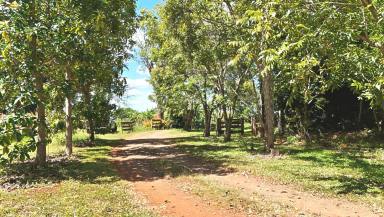 House For Sale - QLD - South Isis - 4660 - 10.5ac 4 BED 2 BATH HOUSE WATER ALLOCATION  (Image 2)