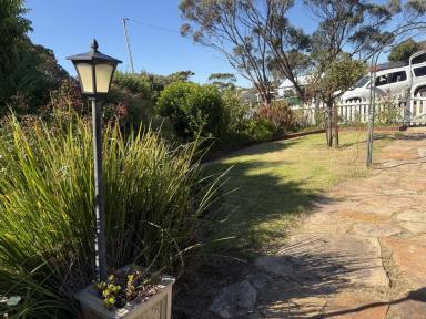 House For Lease - WA - Ravensthorpe - 6346 - Excellent house for reasonable rent  (Image 2)