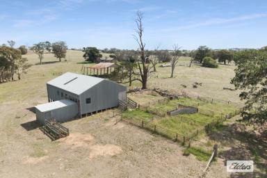 Residential Block For Sale - VIC - Mia Mia - 3444 - 356.28 Acres / 144.18 Hectares, Grazing, Fodder Production and Lifestyle, Selling 'As a Whole' or in 2 Lots  (Image 2)