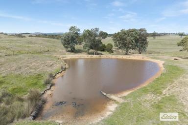 Residential Block For Sale - VIC - Mia Mia - 3444 - 356.28 Acres / 144.18 Hectares, Grazing, Fodder Production and Lifestyle, Selling 'As a Whole' or in 2 Lots  (Image 2)