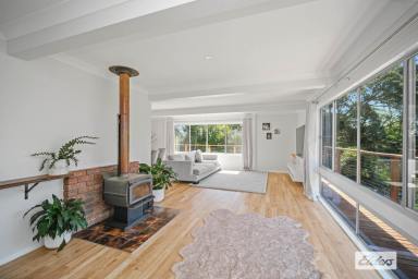 House For Lease - NSW - Taree - 2430 - MODERN FAMILY LIVING IN A PRIME TAREE WEST LOCATION  (Image 2)