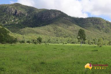 Other (Rural) For Sale - QLD - Reid River - 4816 - Narla  (Image 2)