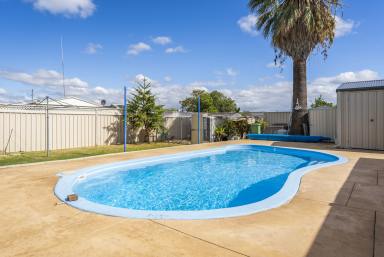 House For Sale - WA - Pinjarra - 6208 - PINJARRA SPECIAL  (Image 2)