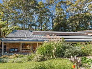 House For Sale - NSW - Sunshine Bay - 2536 - 'Hidden Gem' Backing onto Leafy Reserve  (Image 2)