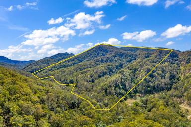 Lifestyle For Sale - NSW - Singleton - 2330 - Private Carrowbrook Wilderness Escape with Creek Frontage  (Image 2)