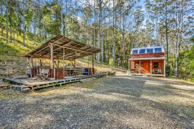 Lifestyle For Sale - NSW - Singleton - 2330 - Private Carrowbrook Wilderness Escape with Creek Frontage  (Image 2)