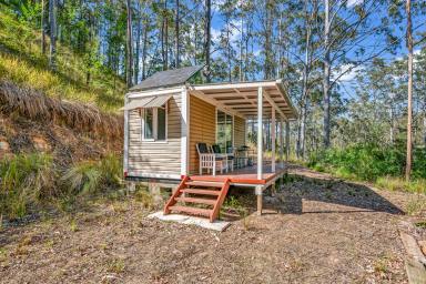 Lifestyle For Sale - NSW - Singleton - 2330 - Private Carrowbrook Wilderness Escape with Creek Frontage (Image 2)