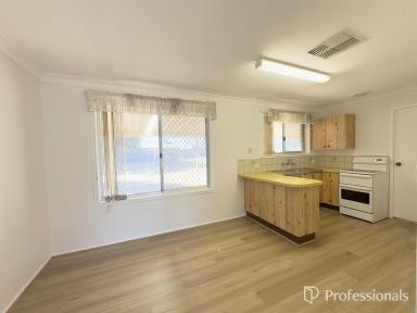 House For Lease - NSW - West Tamworth - 2340 - 11 Maxwell Street, West Tamworth  (Image 2)
