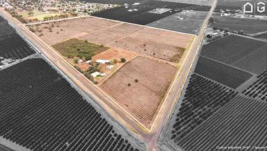 Residential Block For Sale - NSW - Hanwood - 2680 - REPLANT, DEVELOP OR LAND-BANK  (Image 2)