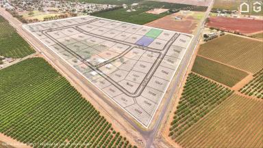 Residential Block For Sale - NSW - Hanwood - 2680 - REPLANT, DEVELOP OR LAND-BANK  (Image 2)