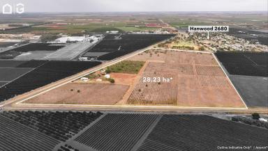 Residential Block For Sale - NSW - Hanwood - 2680 - REPLANT, DEVELOP OR LAND-BANK  (Image 2)