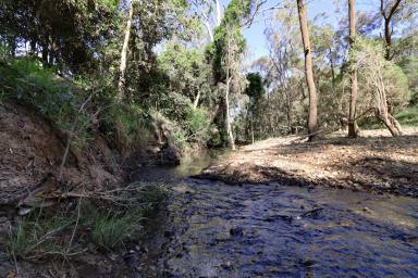 Lifestyle For Sale - QLD - Calliope - 4680 - Cattle, Horses & Fishing - 138* Acres Minutes from Calliope  (Image 2)