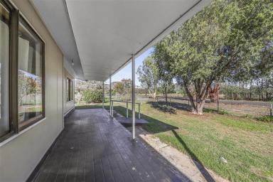 House For Sale - NSW - Brungle - 2722 - Idyllic Country Living!  (Image 2)