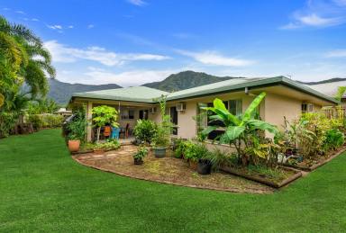 House For Sale - QLD - Bentley Park - 4869 - LOW-COST INVESTMENT PROPERTY  (Image 2)