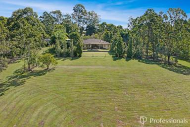 House For Sale - QLD - Victory Heights - 4570 - 5 ACRE RESIDENTIAL SUBDIVISION OPPORTUNITY WITH ESTABLISHED DWELLING!  (Image 2)