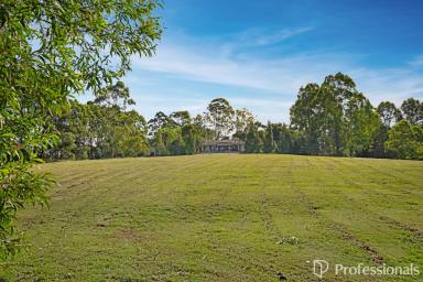House For Sale - QLD - Victory Heights - 4570 - 5 ACRE RESIDENTIAL SUBDIVISION OPPORTUNITY WITH ESTABLISHED DWELLING!  (Image 2)
