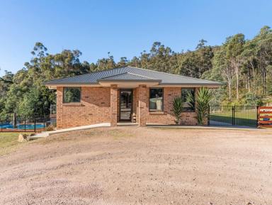 House For Sale - TAS - Acacia Hills - 7306 - Acreage Living, Refined  (Image 2)