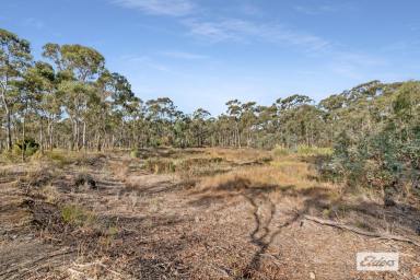 Residential Block For Sale - VIC - Myers Flat - 3556 - Two Blocks with Town Water – Buy One or Both  (Image 2)