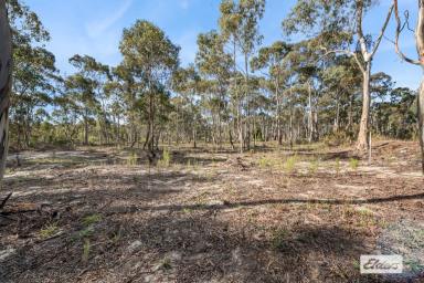 Residential Block For Sale - VIC - Myers Flat - 3556 - Two Blocks with Town Water – Buy One or Both  (Image 2)