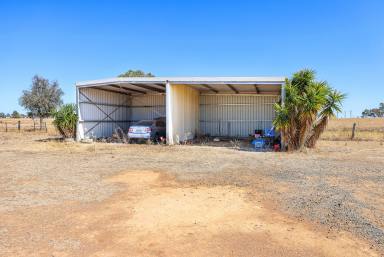Lifestyle Auction - NSW - Tamworth - 2340 - VERSATILE SMALL ACREAGE CLOSE TO TOWN  (Image 2)