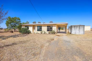 Lifestyle Auction - NSW - Tamworth - 2340 - VERSATILE SMALL ACREAGE CLOSE TO TOWN  (Image 2)
